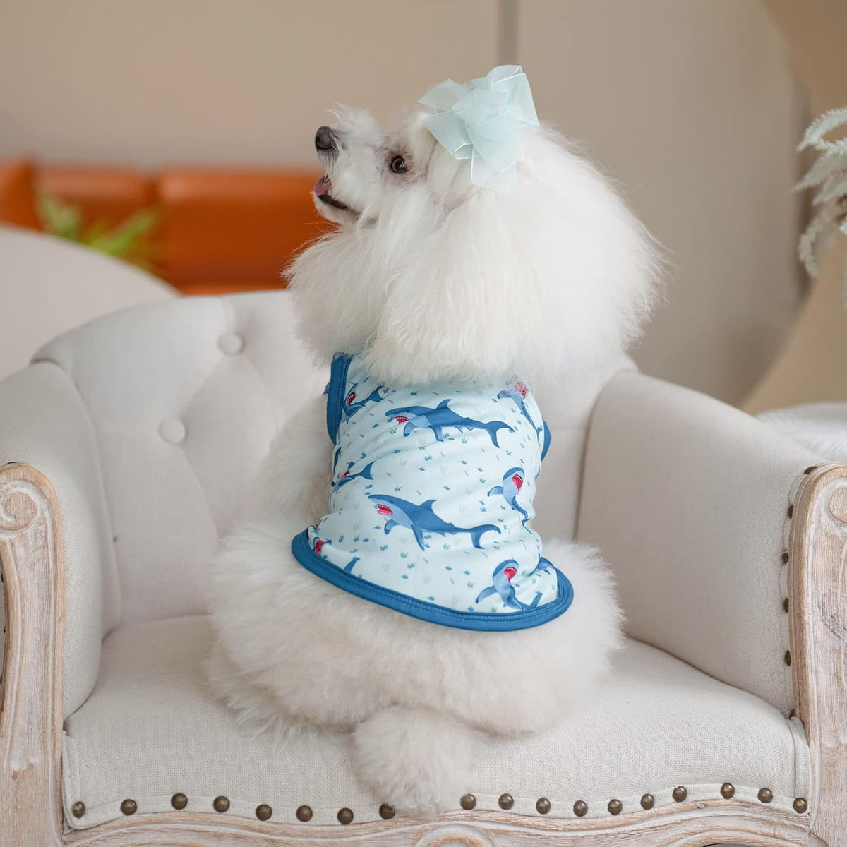CuteBone Dog Shirts 2-Pack Soft Pet Clothes Breathable Summer Vest - Large / Shark&turtle - image 4