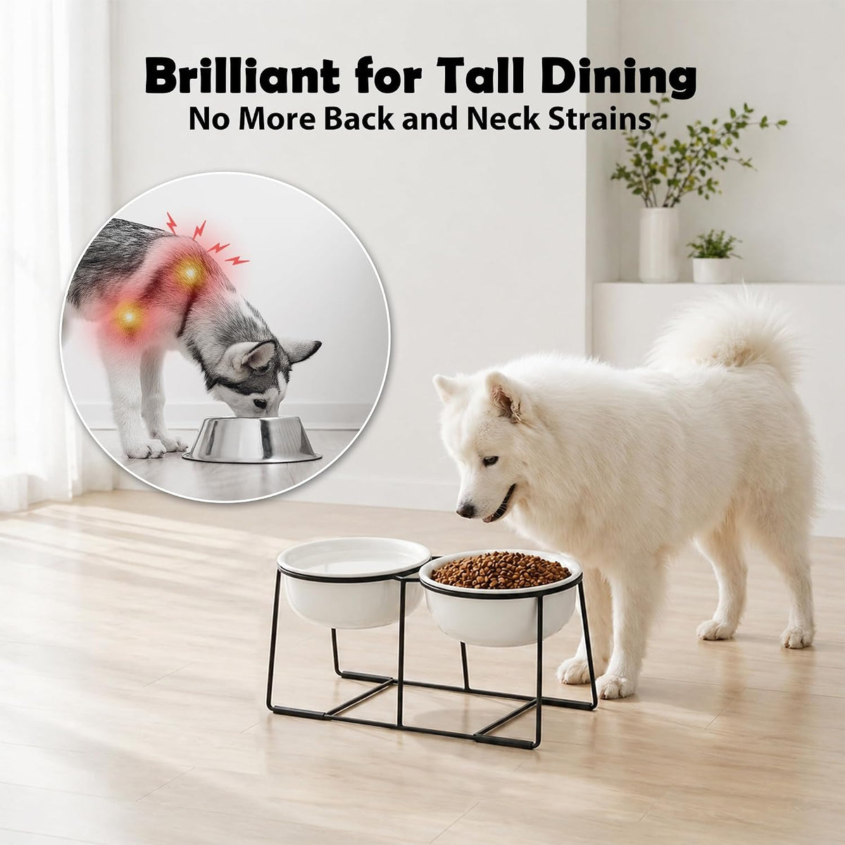 Ceramic Elevated Dog Bowls with Stand - Matte White / XL × 2 - image 3