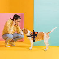 Dogline Dog Harness, Reflective No-Pull Adjustable Vest with Handle for Walking, Training, Breathable, No - Choke Harness for Small, Medium or Large Dogs Room for Patches Girth 33"-46" in Orange