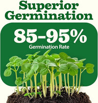 HOME GROWN 𝗨𝗦𝗔 𝗣𝗥𝗘𝗠𝗜𝗨𝗠 55 Vegetable Seeds Pack 28,000+ Non-GMO Heirloom Seeds for Planting, Spring Fall Winter Garden Kit, Survival Seed Vault for Preppers & Gardeners, Gift for Men & Women