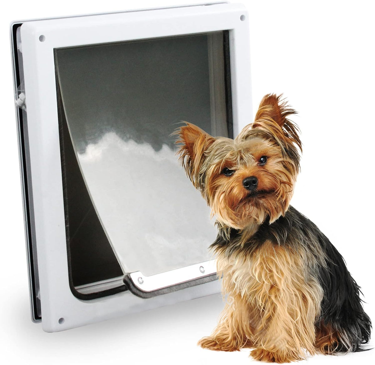Pet Flap Door 2 Ways Locking Dog Wall Entry Pet Door with Transparent - Medium