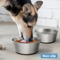 Stainless Steel Dog Bowls Set of 2 - Type A: 8 Cups - image 4