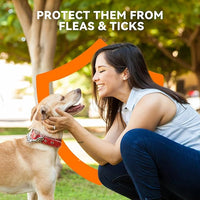 Flea and Tick Prevention for Dogs, Addcool Dog Flea and Tick Treatment, Flea & Tick Control Topical Drops, 3 Doses, Vet-Recommended(45-88 lbs)
