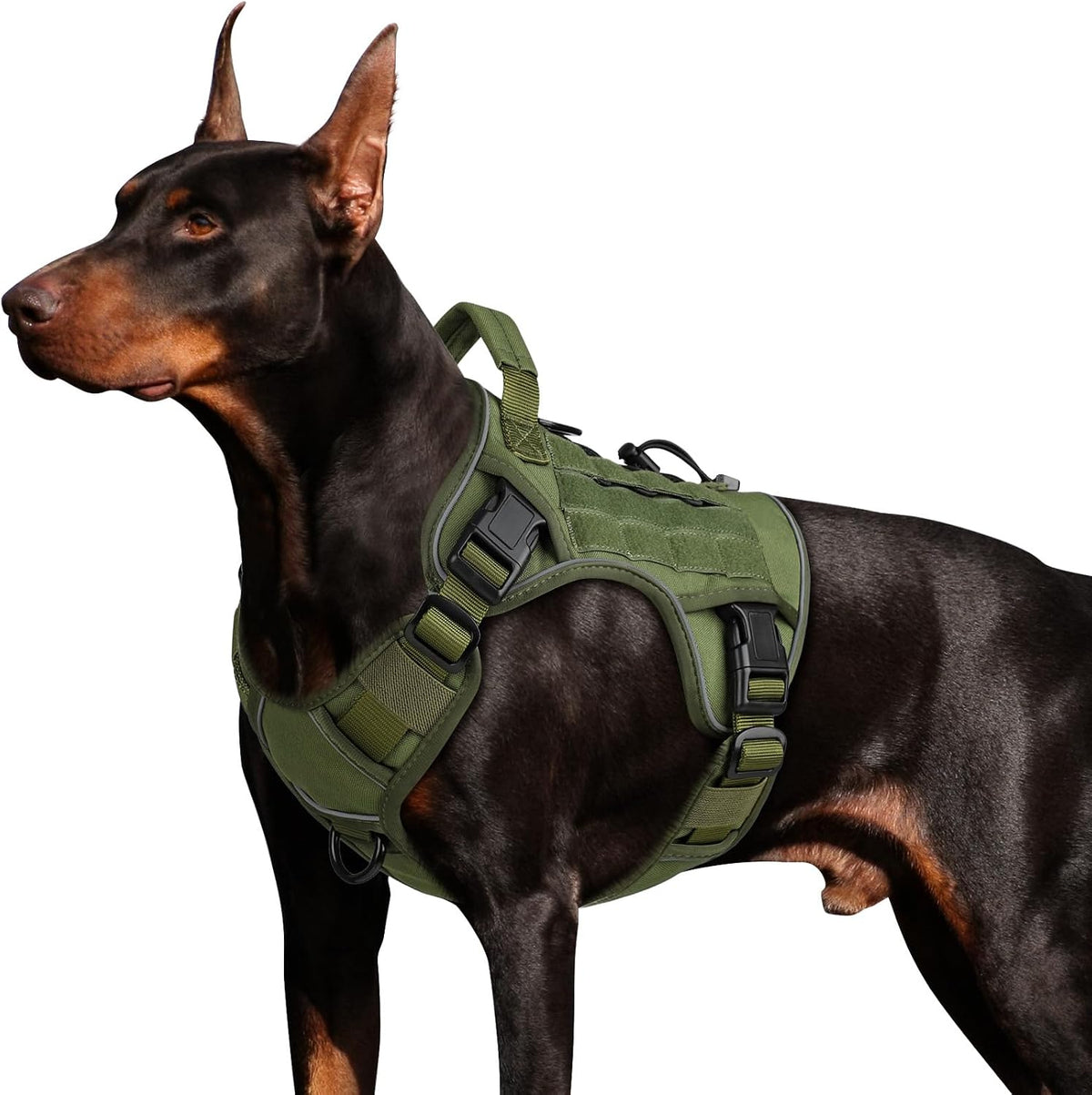 Tactical Dog Harness for Large Dogs - Green / Large: 45-80 lbs (Chest:27-37",Neck:19-25")