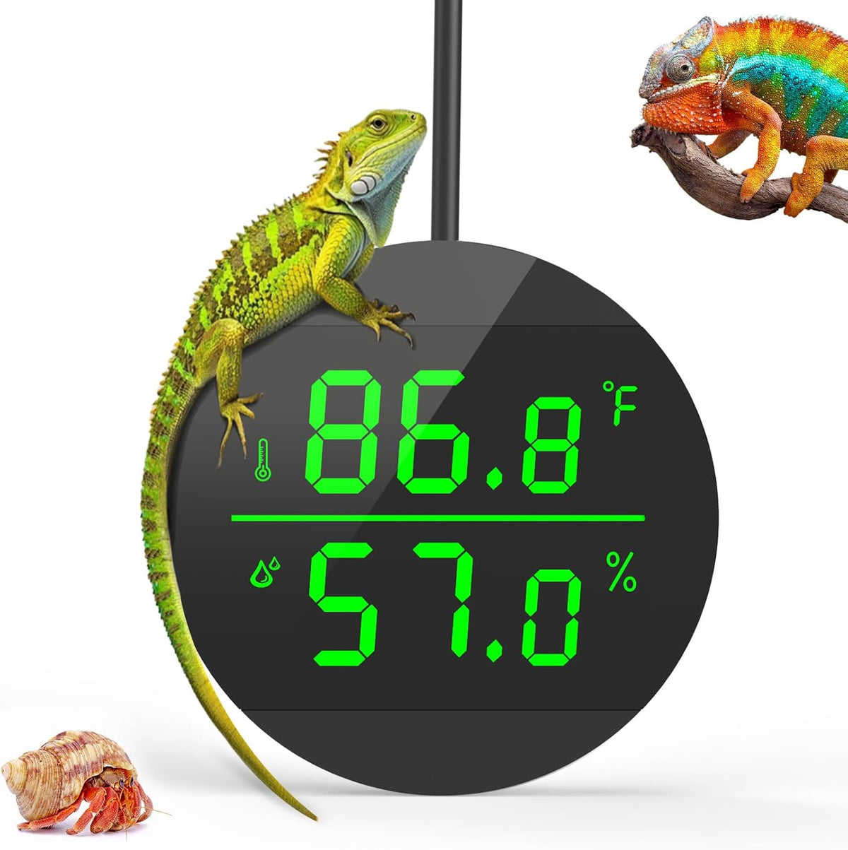 Reptile Thermometer and Humidity Gauge, Digital Display - Black