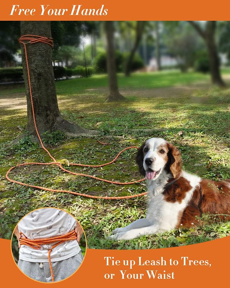 Long Dog Leash for Training 10FT/16FT/20FT/30FT/50FT/100FT - 30FT* 1/3 inch / 1Pack Orange - image 3