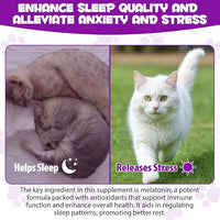 Cat Melatonin - Melatonin for Cats - Cat Calming Treats- Cat Sedative for Grooming - Helps to Support Restful Sleep for Your Cat - Cat Sleep Aid - Anxiety Relief for Cats