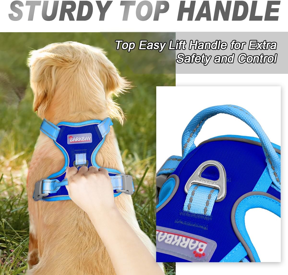 BARKBAY Dog Harness No Pull for Large Dogs Front Back Clips - Small(Chest:19.5-26") / Sapphire Blue & Blue - image 3
