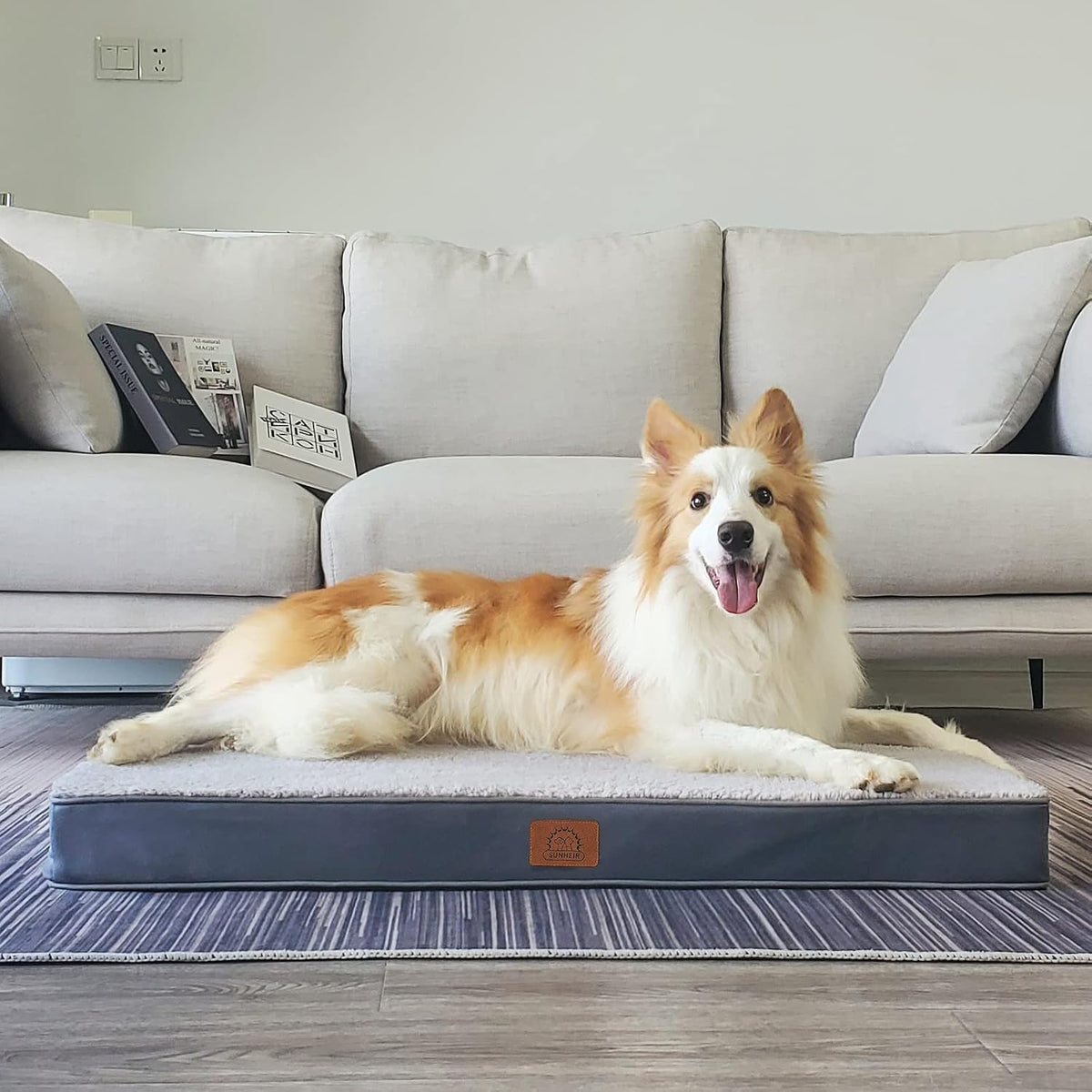 Washable Orthopedic Large Dog Bed with Removable Cover - Grey / 41.0"L x 27.0"W x 3.0"Th - image 2