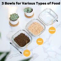Elevated Cat Bowls, 15° Tilted Glass Raised Cat Food and Water Bowl – Essentials for Cats - 3 Glass Bowls - image 3