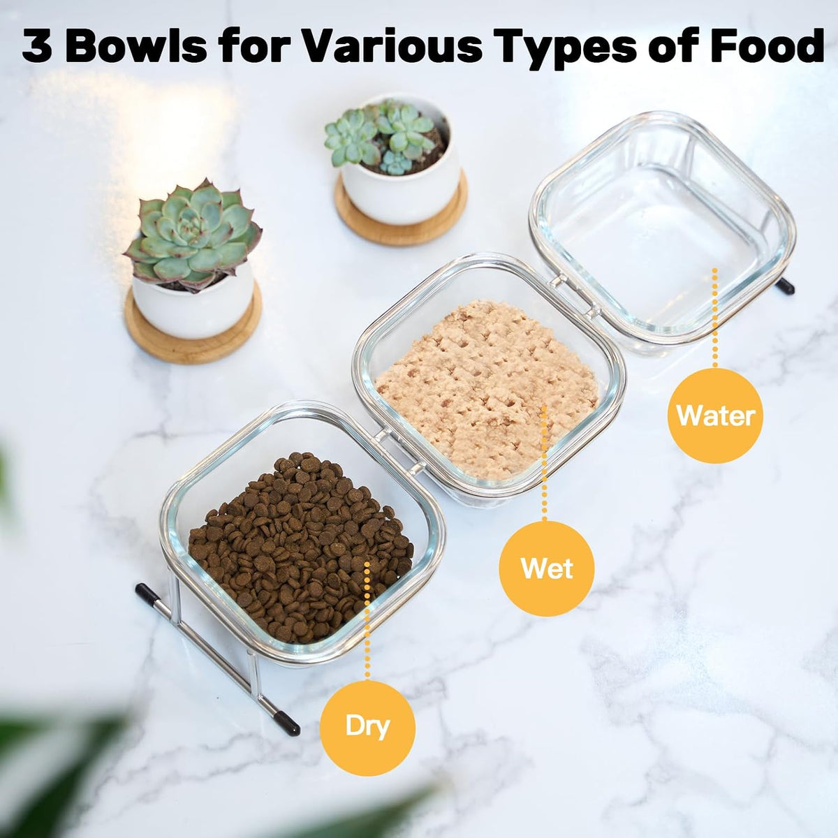 Elevated Cat Bowls, 15° Tilted Glass Raised Cat Food and Water Bowl – Essentials for Cats - 3 Glass Bowls - image 3