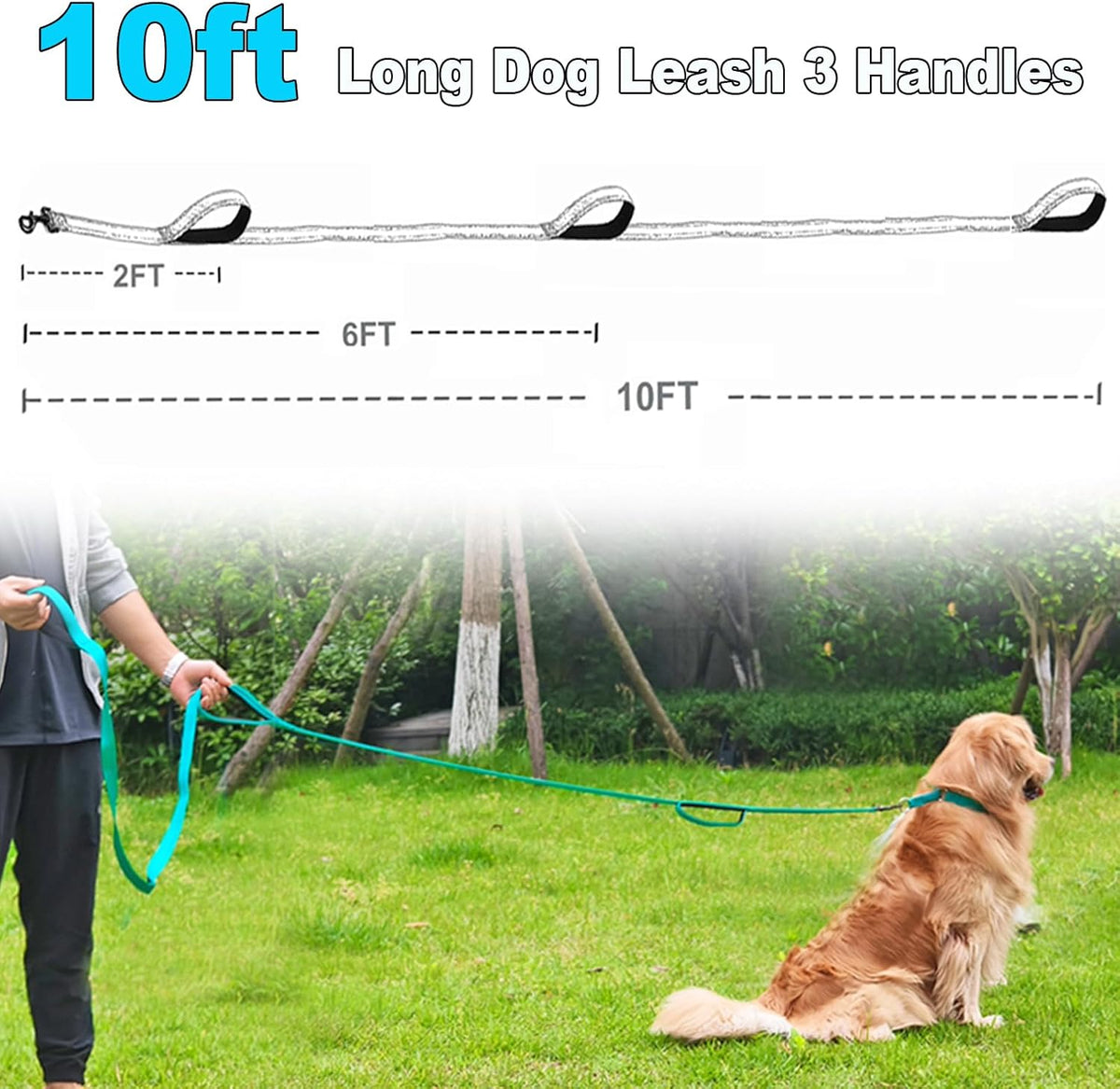 3 Handle Dog Leash 10FT Triple Handle Reflective Large Medium Dogs – Essentials for Dogs - Teal - image 2