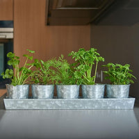 SCANDINORDICA Galvanized Metal Herb Planter, 5 Pots with Drainage Holes, Indoor Outdoor Use, Farmhouse Decor, 19.5x3.9x3.5 inches