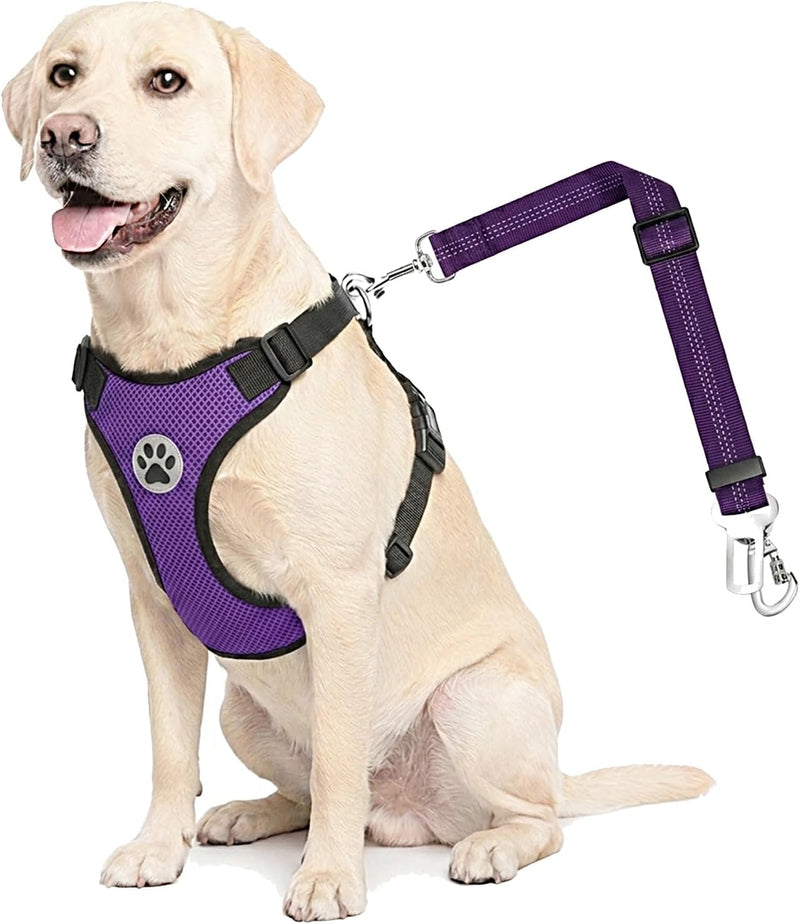 Lukovee Dog Car Harness Seat Belt Set - XX-Small / Purple