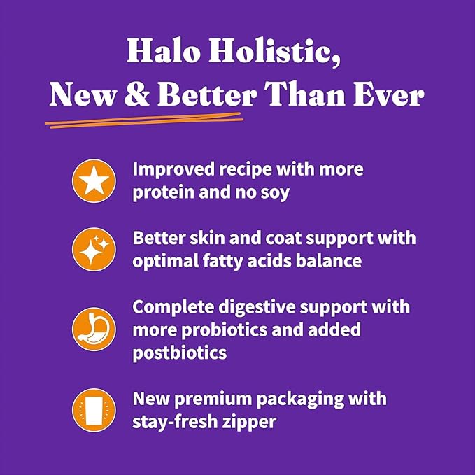 Halo Holistic Cage Free Chicken Cat Food, Healthy Grains Dry Cat Food, Complete Digestive Health, Kibble for Adult Cats, 6 lb Bag
