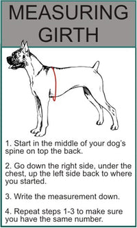 Doggie Stylz Blind Dog Harness No Pull No Escape Dog Vest for Blind Dogs Adjustable Vest with Handle Blind Dog Accessories and Patches for Training and Mobility