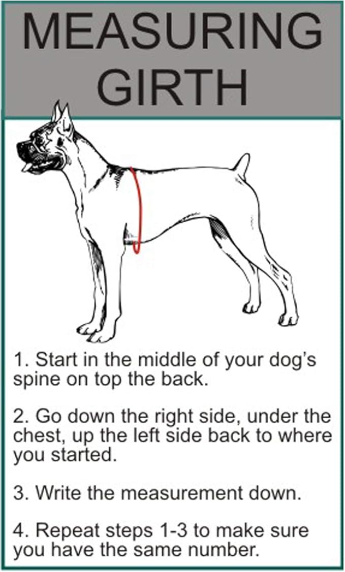 Doggie Stylz Blind Dog Harness No Pull No Escape Dog Vest for Blind Dogs Adjustable Vest with Handle Blind Dog Accessories and Patches for Training and Mobility