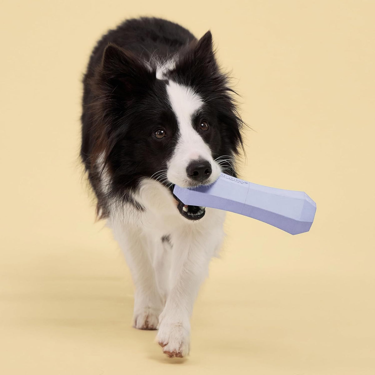 Playology Squeaky Chew Stick Scented Dog Toy - Jumbo / Lamb - image 3