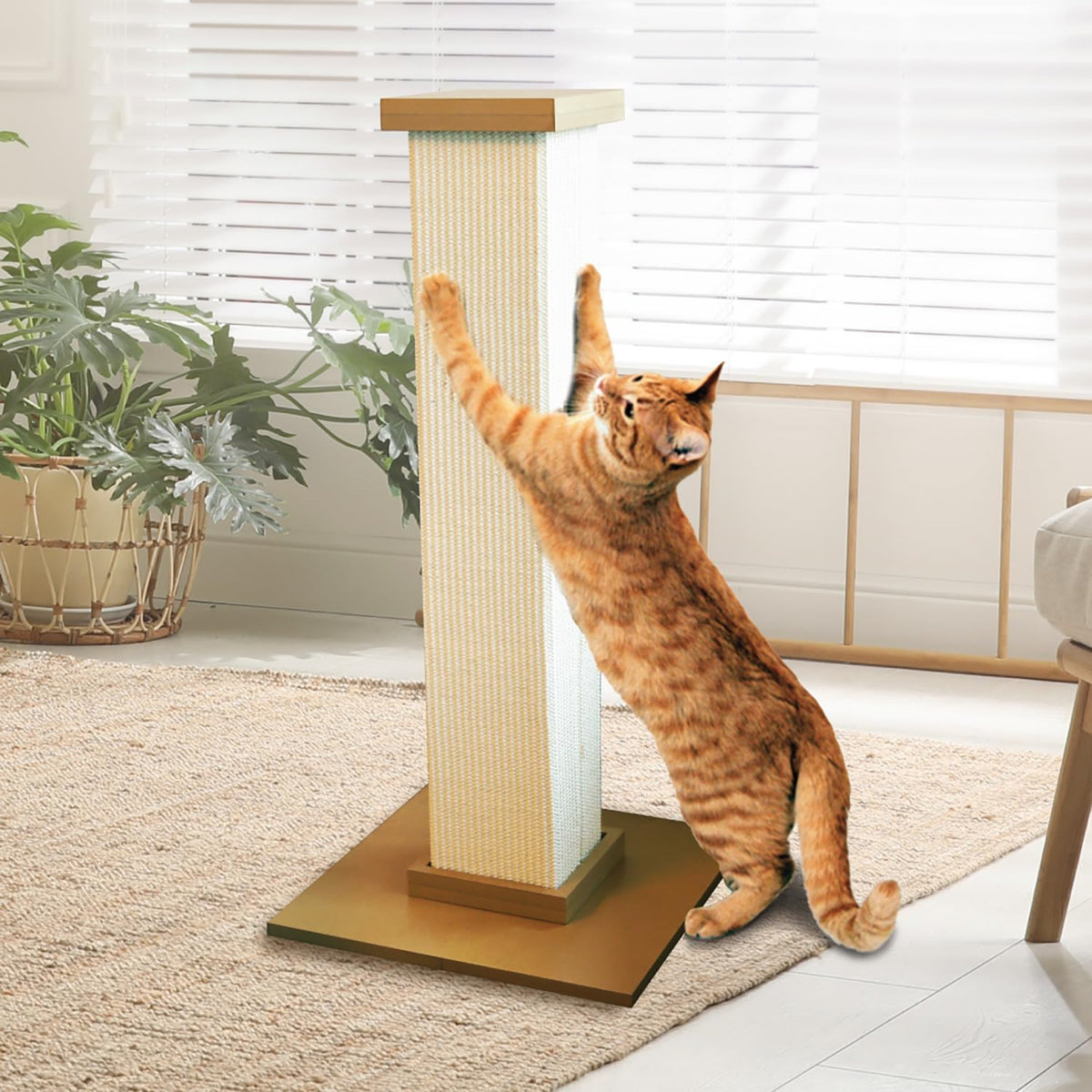 SmartCat Pioneer Pet Ultimate Scratching Post – Essentials for Cats - Beige - image 4