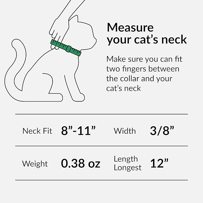 CollarDirect Leather Cat Collar with Bell - Kitten Collar, Small and Big Cat Strap for Boy Cats, Girl Cats with Safety Elastic Strap (Neck Fit 8"-11", Pink)