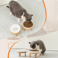 Shallow Wide Elevated Cat Bowls Whisker Fatigue – Essentials for Cats - White / Plate with stand(set of 1) - image 3