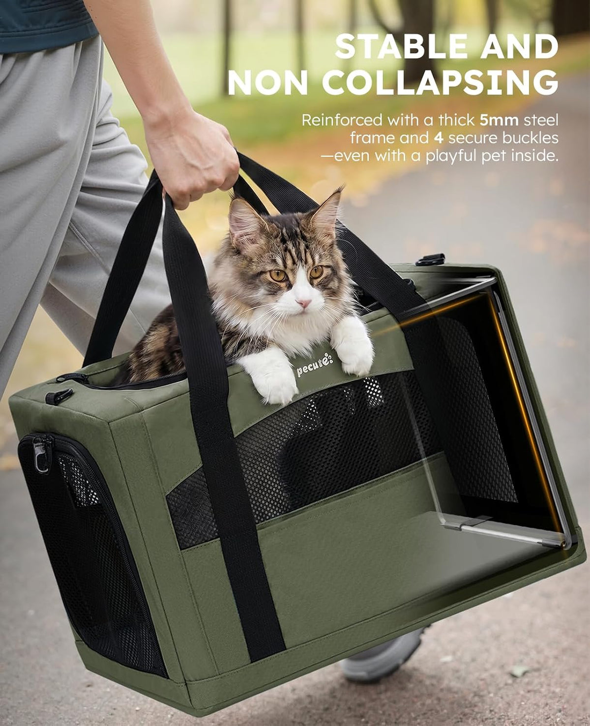 Pecute Cat Carrier Stable, Pet Carrier with Privacy Partition - Green / 19.6"L x 14.9"W x 13.7"H - image 3