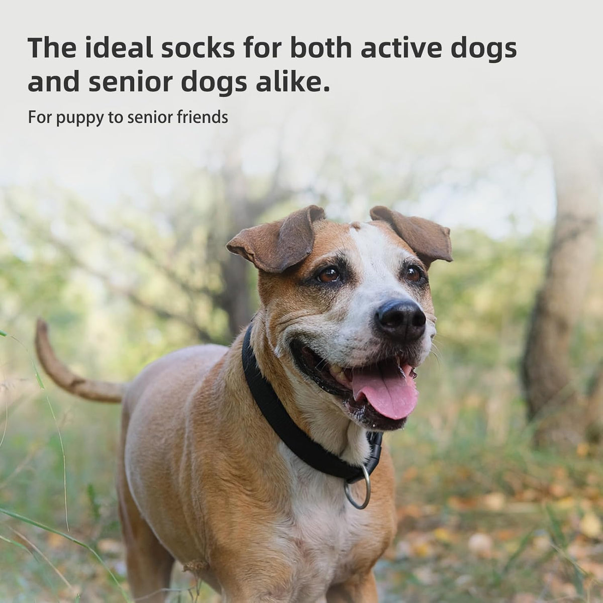 PUPTECK Anti-Slip Dog Socks with Double Sides Grips for Small Medium - Grey / Large (4 Count) - image 3