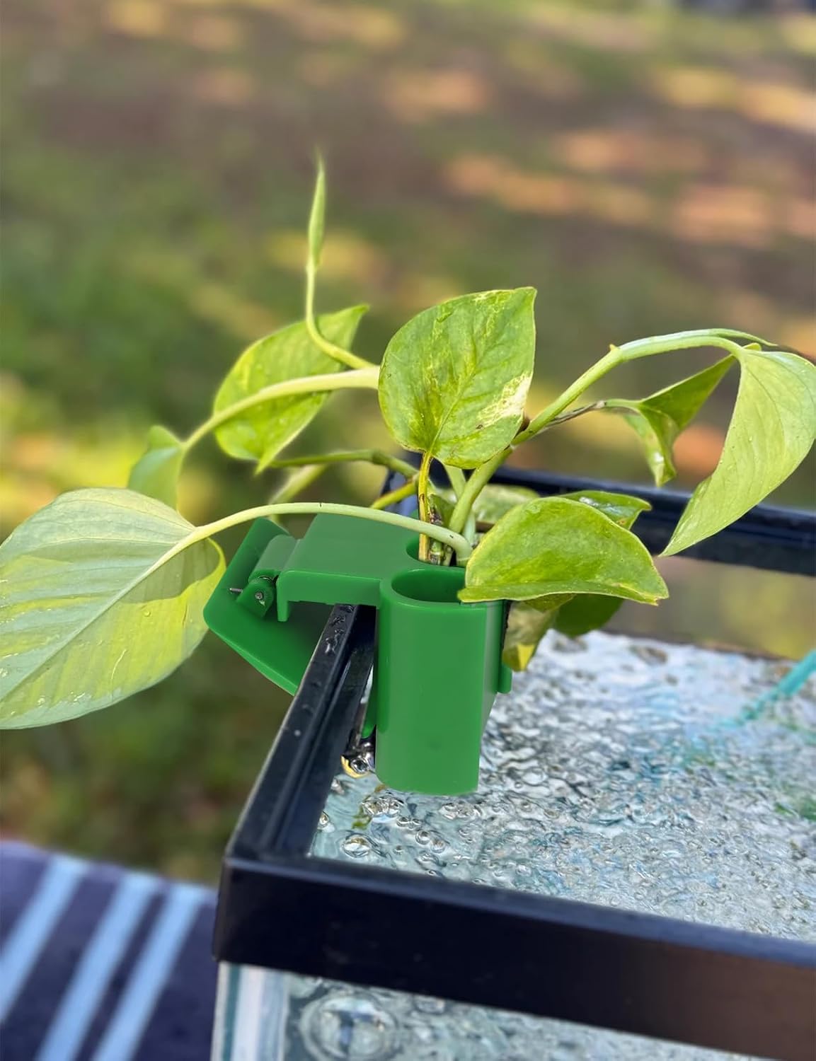 2 Pk Upgraded Aquarium Plant Holder - Green 2 - image 2
