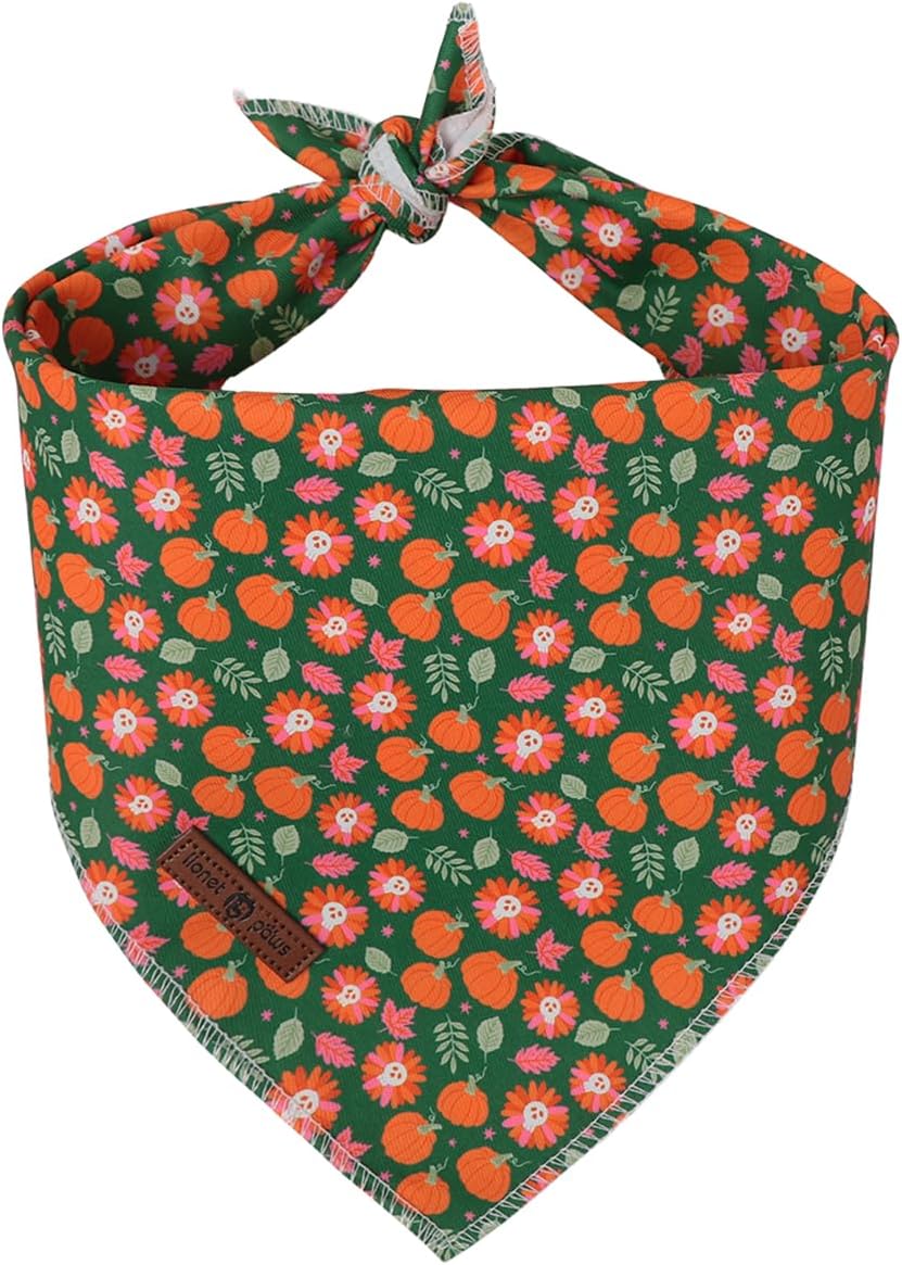 Lionet Paws Spring Daisy Dog Bandana Washable Cotton Handkerchief - Green Pumpkin / Large (Pack of 1)