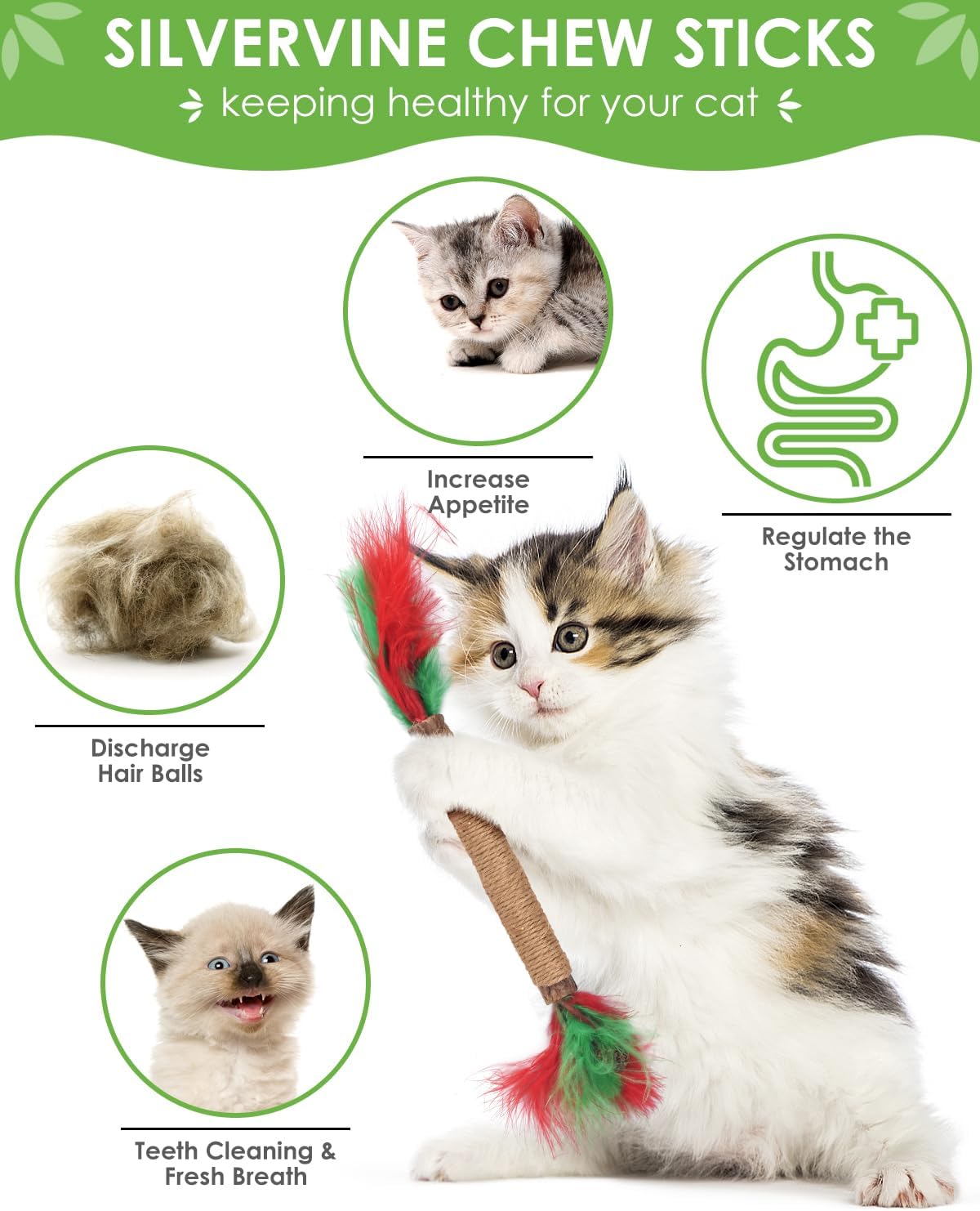 TINDTOP Catnip Chew Toys for Cats - 12 Pack Colorful - image 2