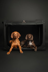 Noah & Paw XXL Collapsible Dog Crate, 42" - Black / 35.5"L x 25.2"W x 23.4"H - image 2