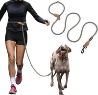 Mile High Life Hands Free Dog Leash - Black Khaki / 8FT Hands Free