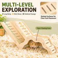 Large Size Syrian Hamster Explorer Set - image 4