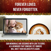 Rainbow Bridge Cat Memorial Gifts - Cat and Woman - image 2