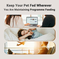 Automatic Cat Feeder for 2 Cats - 16 Cups/4L Timed Auto Pet Feeder with Portion Control (1-6 Meals), Dual Power& Easy to Clean for Indoor Cats & Small Dogs