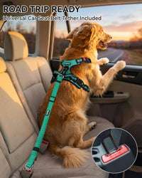 Joytale No Pull Dog Harness & Seat Belt, Easy On 3-Buckle, L - Teal / Medium - image 3