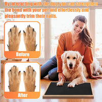 Pet Nail Self Adhesive Replacement Emery Paper - 10in*13ft / Gray - image 4