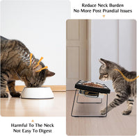 Elevated Cat Food Bowl for Indoor Cats - 3 Bowls / Black - image 2