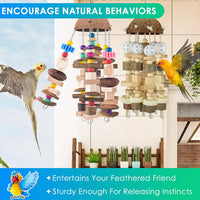 KATUMO Bird Toy, Large Parrot Natural Wooden Blocks Chewing Toy Suits for African Grey Cockatoos - Plastic ball+Nutshell - image 3