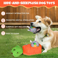 Hide and Seek Squeaky Dog Plush Toy Carrot and Bunny Set - rabbit - image 4