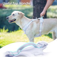 Sunraymascota No Pull Dog Harness for Medium Sized Dogs Puppy Vest - Light Blue / XL(Neck:24.8-38.6", Chest:29.1-45.3") - image 4