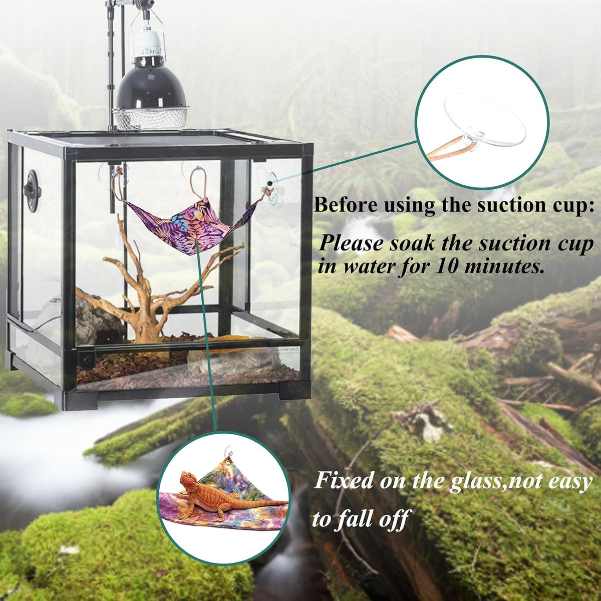 Bearded Dragon Tank Accessories - image 4