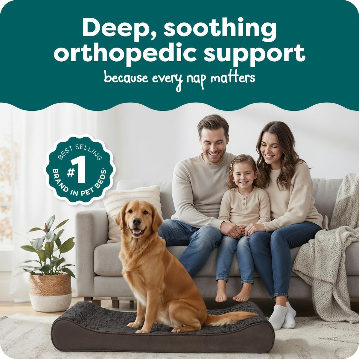 FurHaven Orthopedic Dog Bed for Large Dogs - Jumbo/XL / Chocolate - image 2
