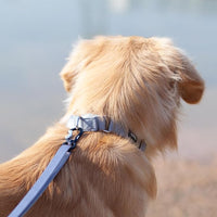 Hyhug Pets Premium Upgraded Heavy Duty Nylon Anti-Escape Martingale Collar for Large Boy and Girl Dogs Comfy and Safe - Professional Training, Daily Use Walking. (Large, Sleet Gray)