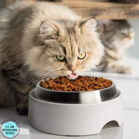 CatGuru Food Table for Cat Bowls - Standard / Marshmallow - image 4
