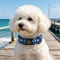 Elegant little tail Fall Dog Collar - Shark / X-Large (Pack of 1) - image 2