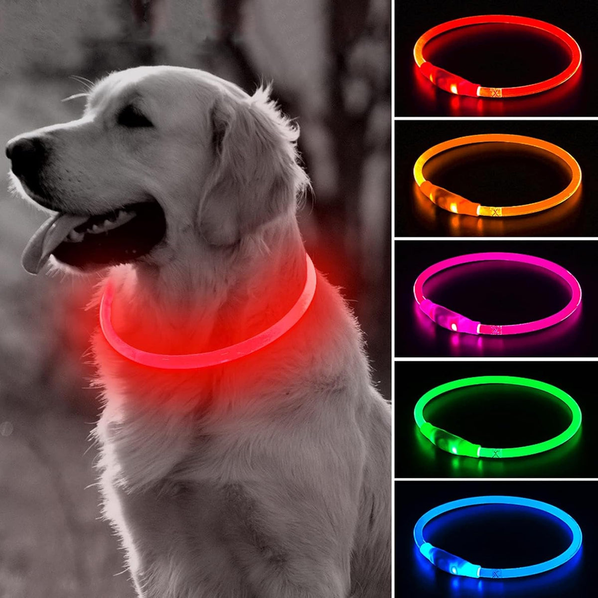 Light Up Dog Collar – Essentials for Dogs - Red (70cm)