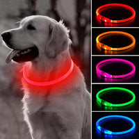 Light Up Dog Collar – Essentials for Dogs - Red (70cm)