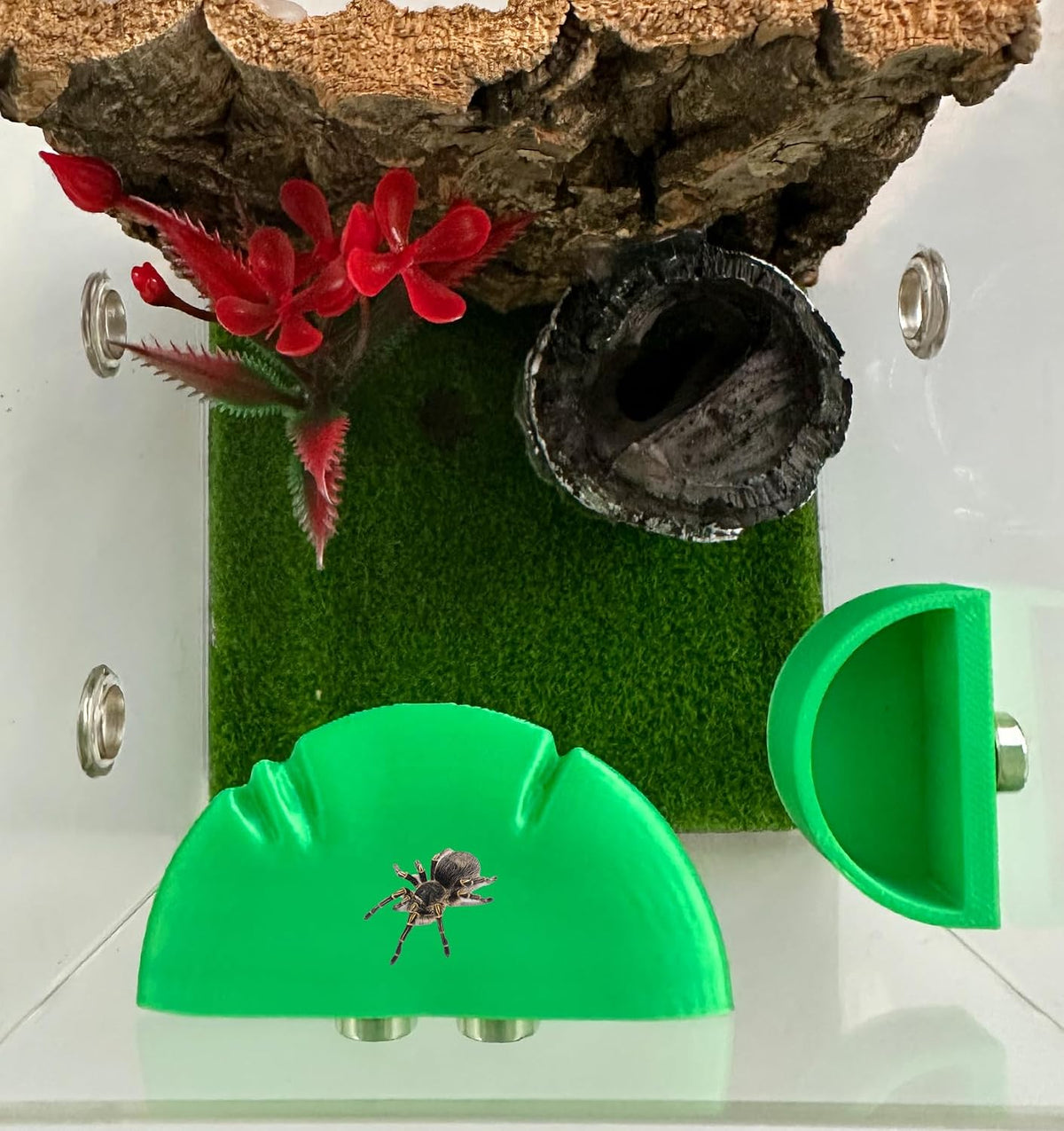 2 Pack Jumping Spider Accessories Mushroom Ledges & 1 Pack Water Bowl - green - image 4