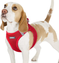 rabbitgoo Step-in Small Dog Harness - Red / M(chest:16.0"-18.5")
